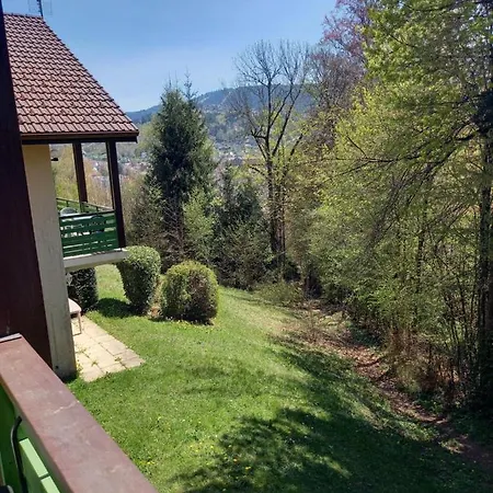 Duplex 5 Pers Avec Piscine Διαμέρισμα Gérardmer